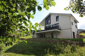 Maison spacieuse au bord d'un étang et face à la nature Ban-Sur-Meurthe-Clefcy